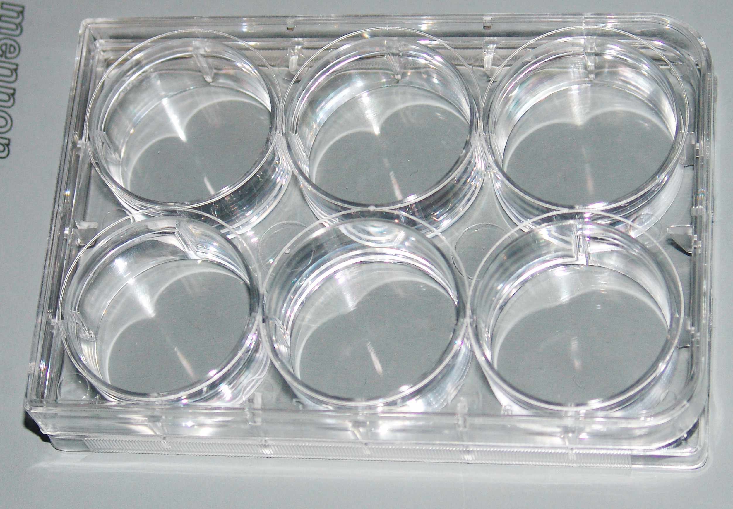 petric dish,treated Plates with ultra-Flat-Bottom wells,petri dish with cells